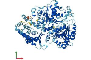 AlphaFold protein structure predicition of Mouse Recombinant Ercc2 Protein, UniprotID O08811
