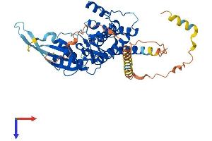 AlphaFold protein structure predicition of Mouse Recombinant Stk40 Protein, UniprotID Q7TNL3