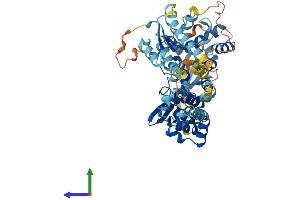 AlphaFold protein structure predicition of Human Recombinant RHOBTB3 Protein, UniprotID O94955