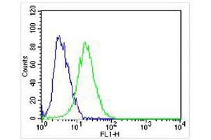 Overlay histogram showing SH-SY5Y cells stained with (ABIN6242228 and ABIN6578319) (green line).