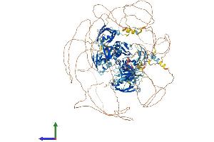 AlphaFold protein structure predicition of Mouse Recombinant Magi1 Protein, UniprotID Q6RHR9