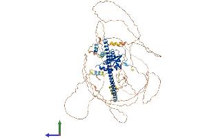 AlphaFold protein structure predicition of Human Recombinant BACH2 Protein, UniprotID Q9BYV9
