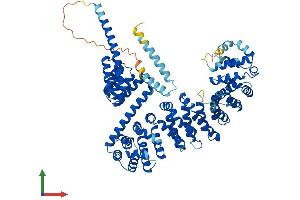 AlphaFold protein structure predicition of Human Recombinant TTC12 Protein, UniprotID Q9H892