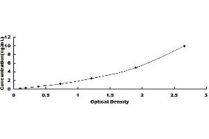 Typical standard curve