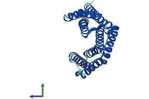 AlphaFold protein structure predicition of Mouse Recombinant Ywhag Protein, UniprotID P61982