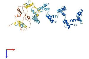 AlphaFold protein structure predicition of Human Recombinant ZNF20 Protein, UniprotID P17024