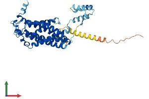 AlphaFold protein structure predicition of Mouse Recombinant Cers3 Protein, UniprotID Q1A3B0