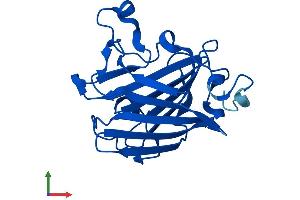 AlphaFold protein structure predicition of Mouse Recombinant D3Ertd751e Protein, UniprotID Q8BGN2