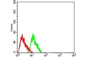 Flow cytometric analysis of SH-SY5Y cells using CHRNA7 mouse mAb (green) and negative control (red).