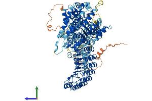AlphaFold protein structure predicition of Human Recombinant NOD2 Protein, UniprotID Q9HC29