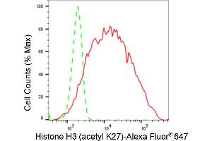 Flow cytometric analysis of Histone H3 (acetyl K27) expression in HeLa cells using Histone H3 (acetyl K27) antibody (ABIN7798971), 1:2,000). (Recombinant Histone 3 anticorps  (H3K27ac))