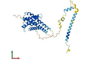 AlphaFold protein structure predicition of Mouse Recombinant Igbp1 Protein, UniprotID Q61249