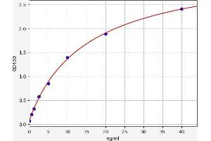 Typical standard curve (Hsc70 Kit ELISA)