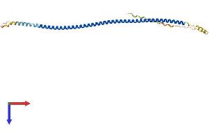AlphaFold protein structure predicition of Human Recombinant SYCE1L Protein, UniprotID A8MT33