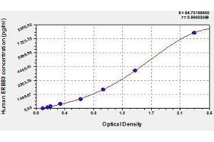Typical standard curve (ERBB3 Kit ELISA)