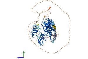 AlphaFold protein structure predicition of Human Recombinant CLIP4 Protein, UniprotID Q8N3C7