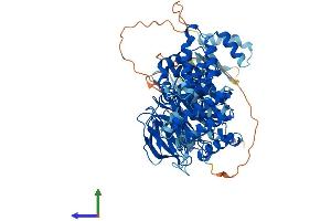 AlphaFold protein structure predicition of Mouse Recombinant Plaa Protein, UniprotID P27612