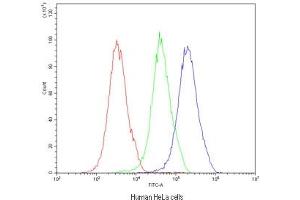 Flow cytometry testing of human HeLa cells with MVP antibody at 1ug/10^6 cells (blocked with goat sera) (MVP anticorps)