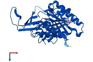 AlphaFold protein structure predicition of Mouse Recombinant Khk Protein, UniprotID P97328