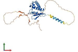 AlphaFold protein structure predicition of Human Recombinant BTG3 Protein, UniprotID Q14201