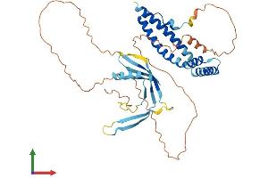 AlphaFold protein structure predicition of Human Recombinant ELL3 Protein, UniprotID Q9HB65