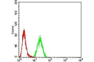 Flow cytometric analysis of Hela cells using DOC2 mouse mAb (green) and negative control (red).
