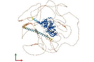 AlphaFold protein structure predicition of Human Recombinant BMP2K Protein, UniprotID Q9NSY1