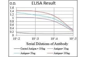 Black line: Control Antigen (100 ng), Purple line: Antigen(10 ng), Blue line: Antigen (50 ng), Red line: Antigen (100 ng),