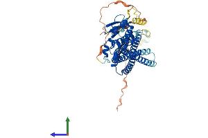 AlphaFold protein structure predicition of Human Recombinant SNX8 Protein, UniprotID Q9Y5X2