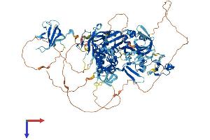 AlphaFold protein structure predicition of Mouse Recombinant Cyld Protein, UniprotID Q80TQ2