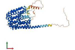 AlphaFold protein structure predicition of Mouse Recombinant Slc16a1 Protein, UniprotID P53986