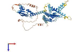 AlphaFold protein structure predicition of Human Recombinant KCNV2 Protein, UniprotID Q8TDN2