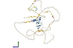 AlphaFold protein structure predicition of Human Recombinant PYGO1 Protein, UniprotID Q9Y3Y4