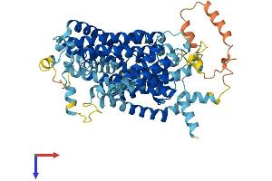 AlphaFold protein structure predicition of Human Recombinant SLC7A1 Protein, UniprotID P30825
