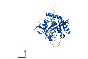 AlphaFold protein structure predicition of Mouse Recombinant St6galnac3 Protein, UniprotID Q9WUV2