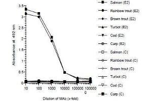 ELISA image for anti-Zona Radiata Protein antibody (ABIN108741) (Zona Radiata Protein anticorps)