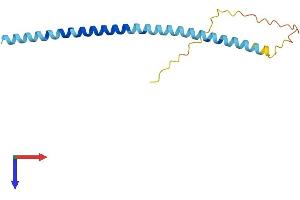 Synuclein, alpha (SNCA) (AA 1-140) protein (His tag)