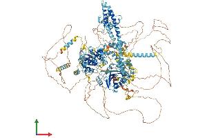 AlphaFold protein structure predicition of Human Recombinant ERCC6 Protein, UniprotID Q03468