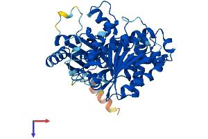 AlphaFold protein structure predicition of Human Recombinant TUBB Protein, UniprotID P07437