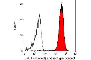 Flow Cytometry (FACS) image for anti-SWI/SNF Related, Matrix Associated, Actin Dependent Regulator of Chromatin, Subfamily A, Member 4 (SMARCA4) (AA 75-125) antibody (ABIN7453997)