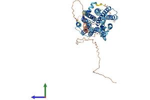 AlphaFold protein structure predicition of Mouse Recombinant Slc29a4 Protein, UniprotID Q8R139