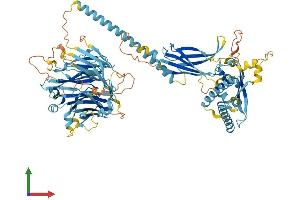 AlphaFold protein structure predicition of Mouse Recombinant Faap100 Protein, UniprotID A2ACJ2