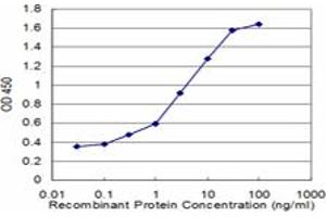 Detection limit for recombinant GST tagged DBN1 is approximately 0.