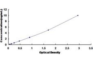 Typical standard curve (p63 Kit ELISA)