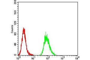 Flow cytometric analysis of Hela cells using VP2 mouse mAb (green) and negative control (red). (VP2 (AA 296-438) anticorps)