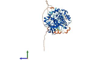 AlphaFold protein structure predicition of Human Recombinant PDPK1 Protein, UniprotID O15530