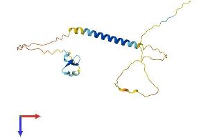 AlphaFold protein structure predicition of Human Recombinant TNFRSF13C Protein, UniprotID Q96RJ3