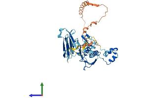 AlphaFold protein structure predicition of Human Recombinant MMP23B Protein, UniprotID O75900