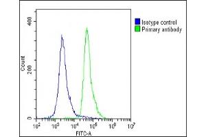 anti-RAB12, Member RAS Oncogene Family (RAB12) (AA 63-92), (N-Term) antibody