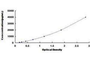 Thyroglobulin (TG) ELISA Kit